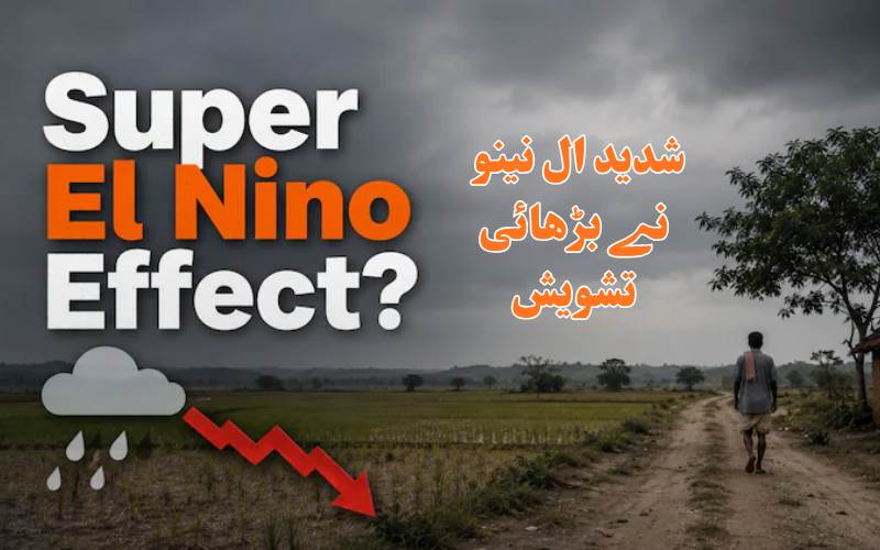 بحرالکاہل کا بڑھتا درجہ حرارت خطرے کی علامت،ہندوستان میں بھی پڑ سکتا ہے بڑا اثر